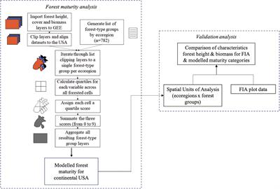 Mature and old-growth forests contribute to large-scale conservation targets in the conterminous United States